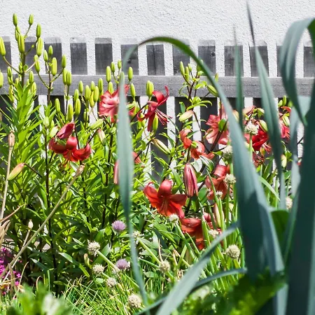 Apartmán Beim Gruber Melago